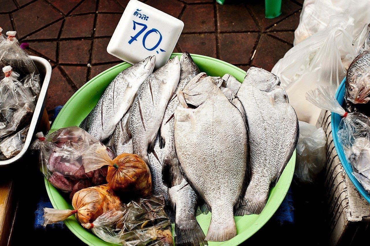 銀龍魚(yú)越大越不值錢(qián)嗎|銀龍魚(yú)的“三階評(píng)與其體型的定位”