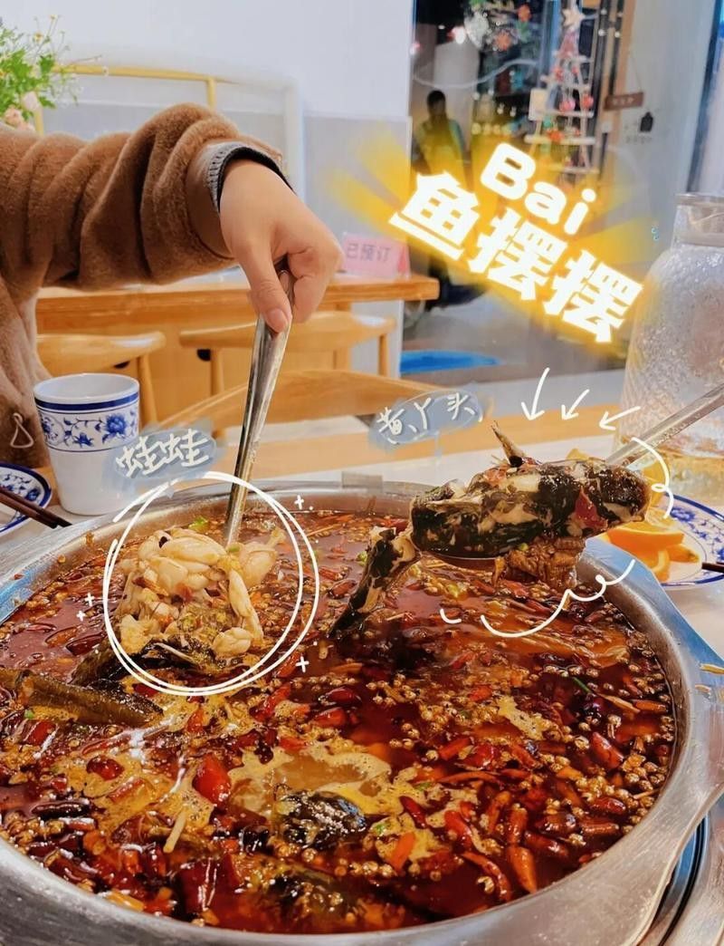 浮梁龍魚店|浮梁“魚擺擺”探店