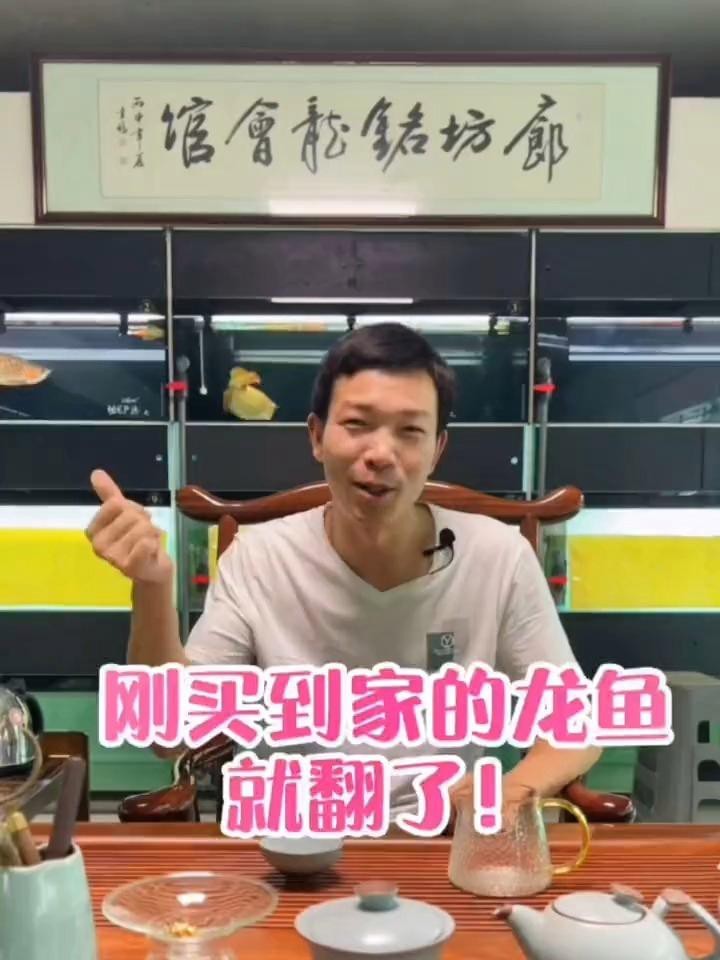 如何預防龍魚出現(xiàn)急救情況？|20-30公分龍魚飼養(yǎng)技巧與注意事項