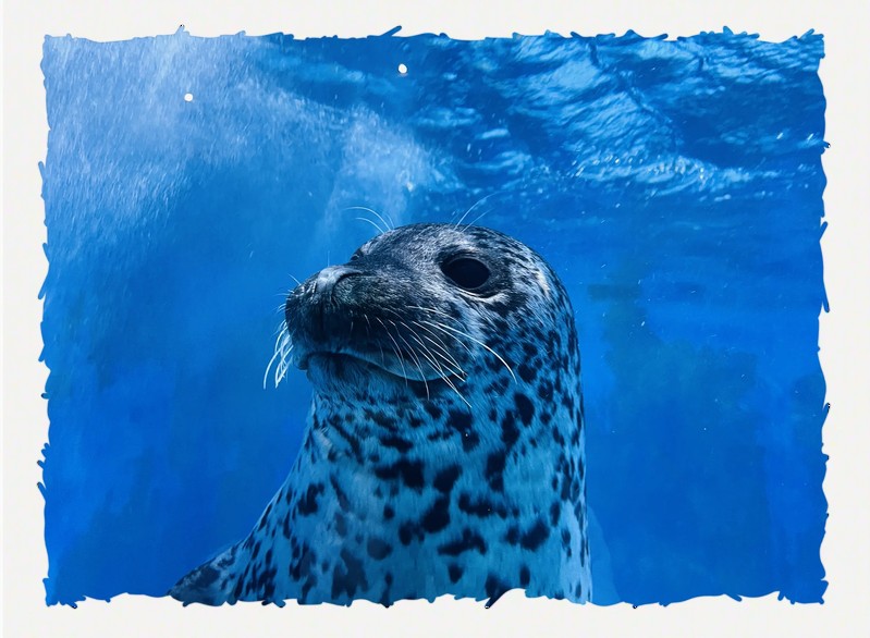 泰州水族店|泰州擁有多家特色鮮明的水族店推薦幾家口碑好的泰州水族店