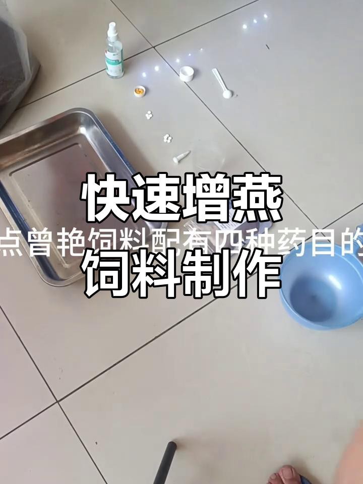 有哪些龍魚發(fā)色增艷劑|觀賞魚養(yǎng)魚日記水族瑪豆維生素魚缸增艷飼料增色秘訣