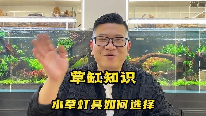哪個品牌的水草燈最好|關于“哪個品牌的水草燈最好”的摘要