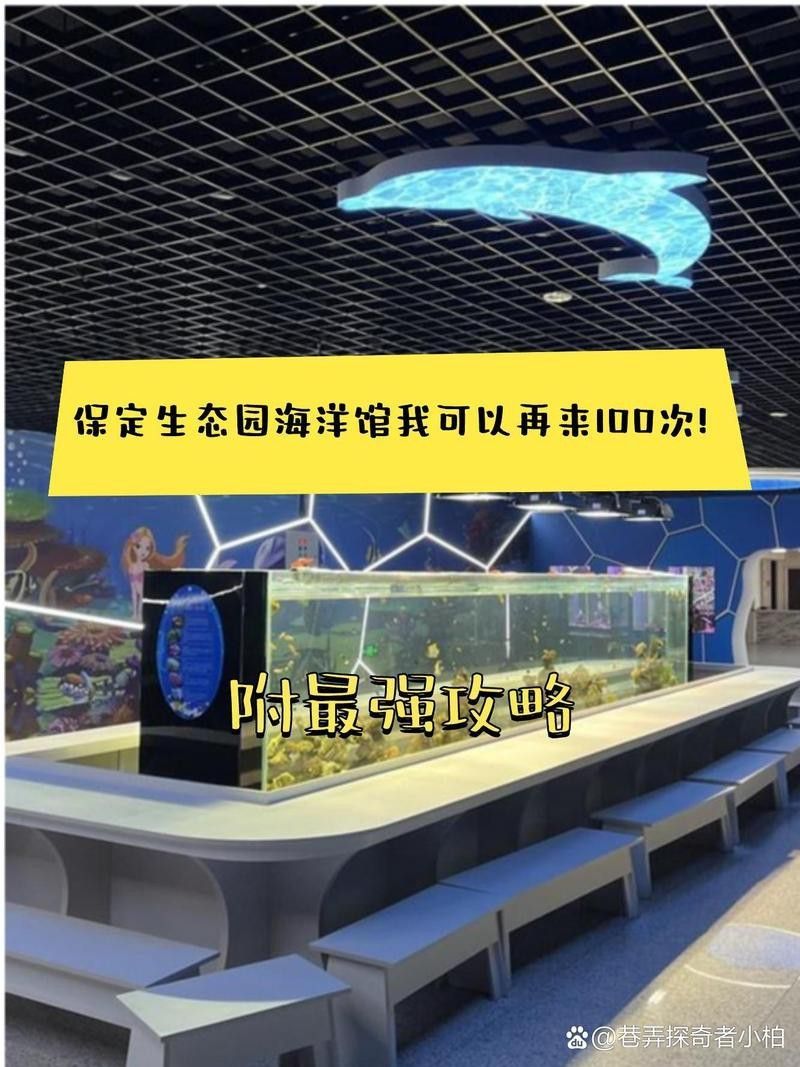 競秀水族店|保定市競秀區水族店哪個口碑最好