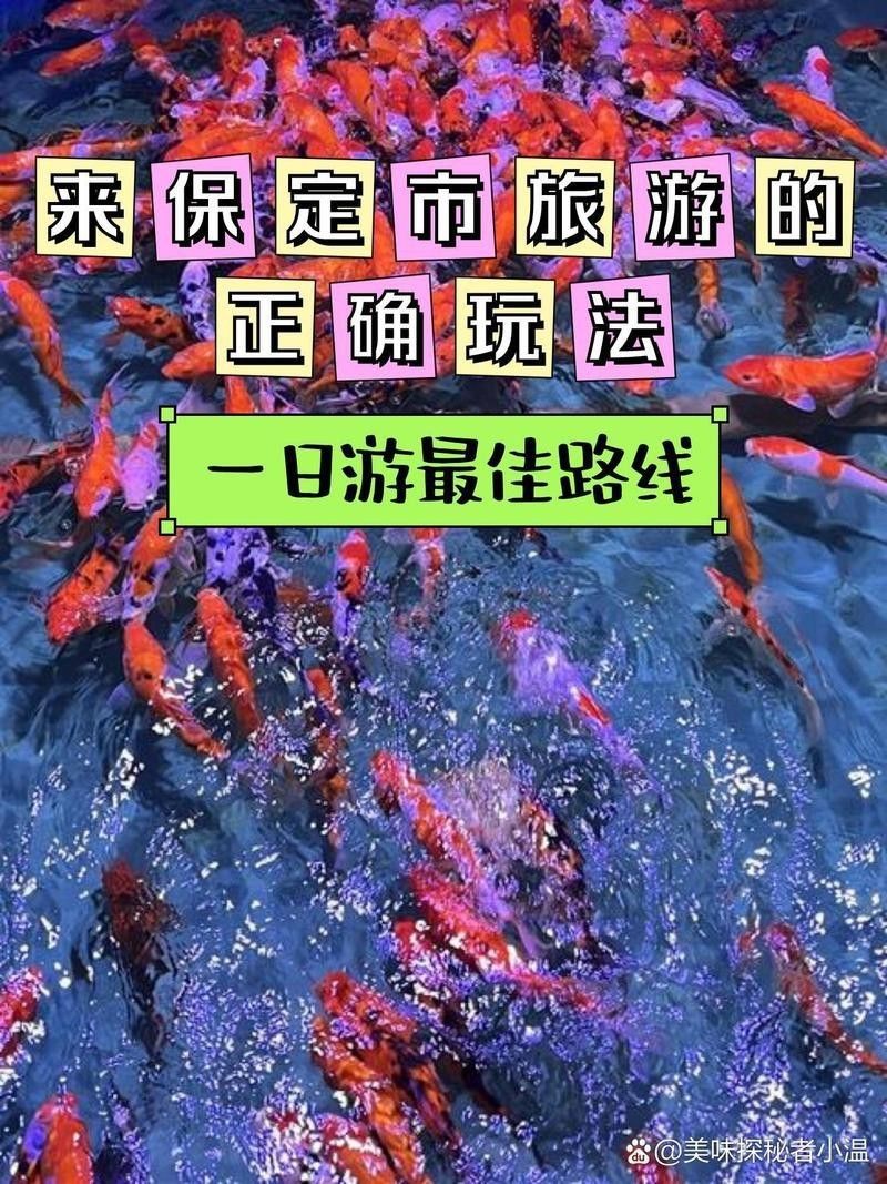 競秀水族店|保定市競秀區水族店哪個口碑最好