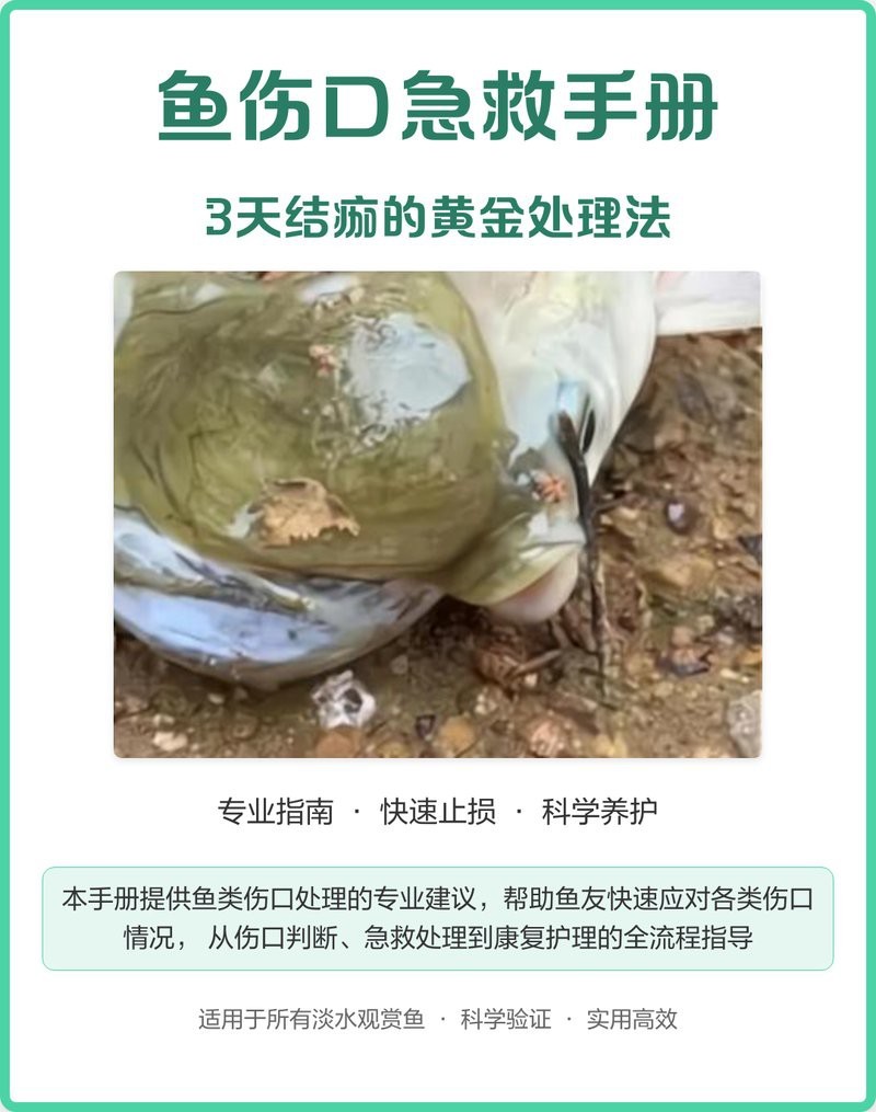 龍魚充血可以自愈嗎？|龍魚充血是否可以自愈