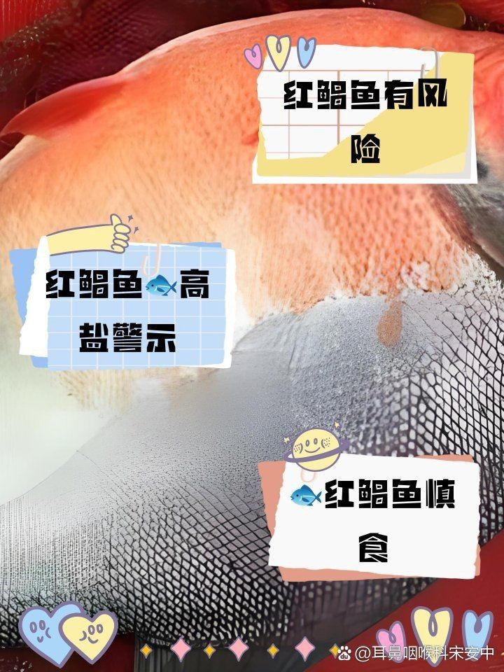 紅鯧魚為何要少吃一點|養(yǎng)殖紅鯧魚的注意事項