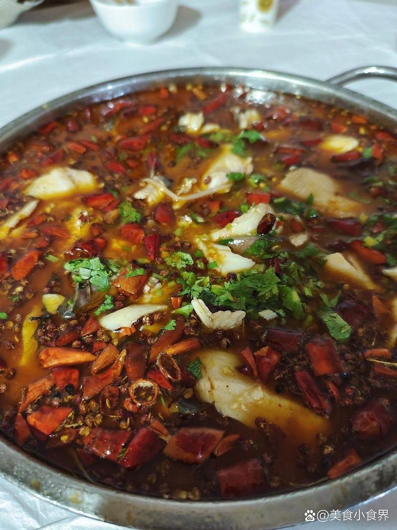 紅原龍魚店|廣州紅原龍魚店\