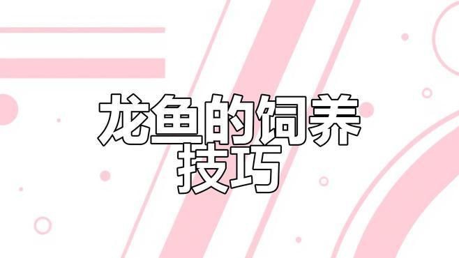 紅龍魚燈光顏色選擇|紅龍魚怎么用燈光照射)愛奇藝女紅龍魚燈光選擇技巧