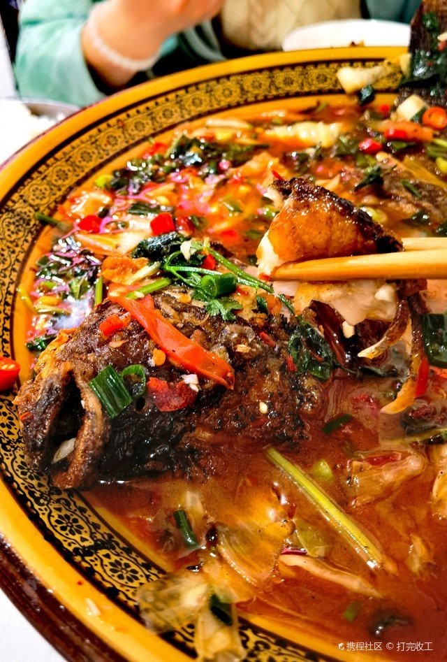 鹽邊龍魚店|攀枝花鹽邊龍魚店