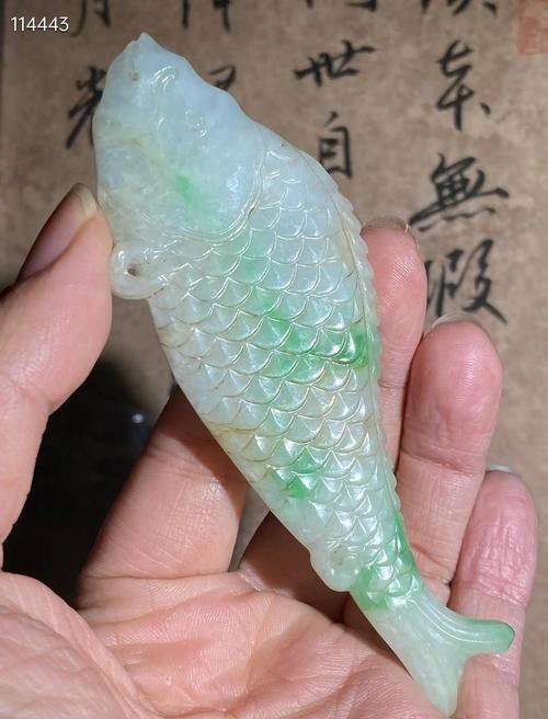 翡翠魚條圖片|翡翠魚:大自然的調色盤