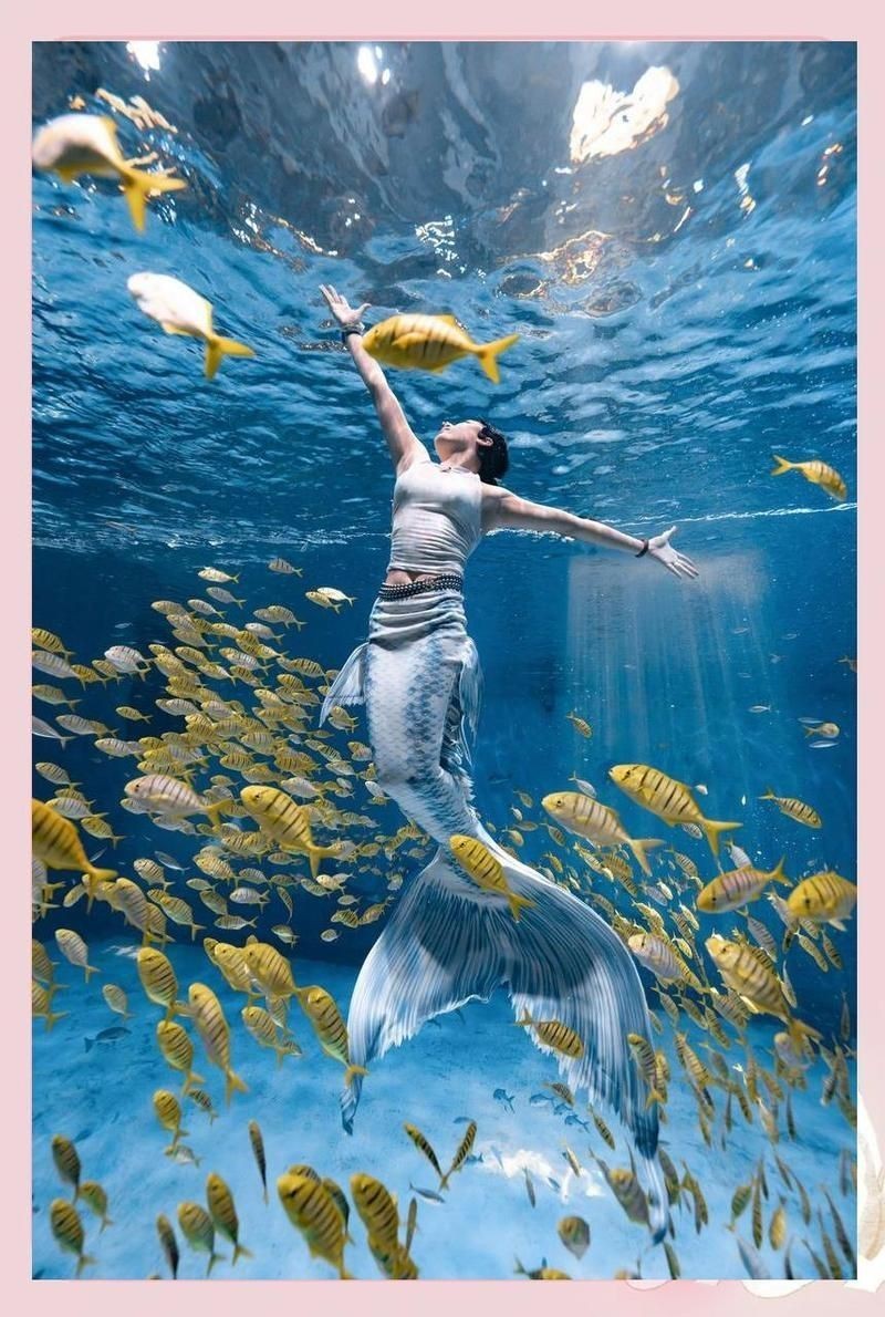 紅尾美人魚最忌三種東西|關(guān)于紅尾美人魚的飼養(yǎng)禁忌