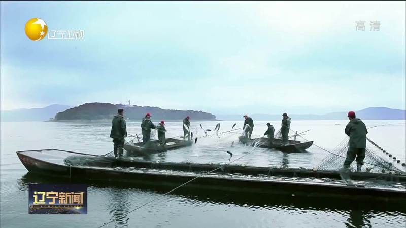 桓仁龍魚店|桓仁地區有龍魚養殖場嗎 桓仁龍魚店|桓仁地區有龍魚養殖場嗎 全國水族館企業名錄 第1張