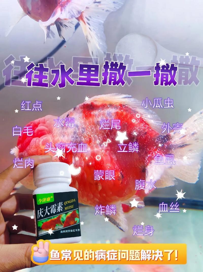 魚得水霉病圖片|喵小蚊說三農,觀賞魚水霉病的前期征兆會是什么樣