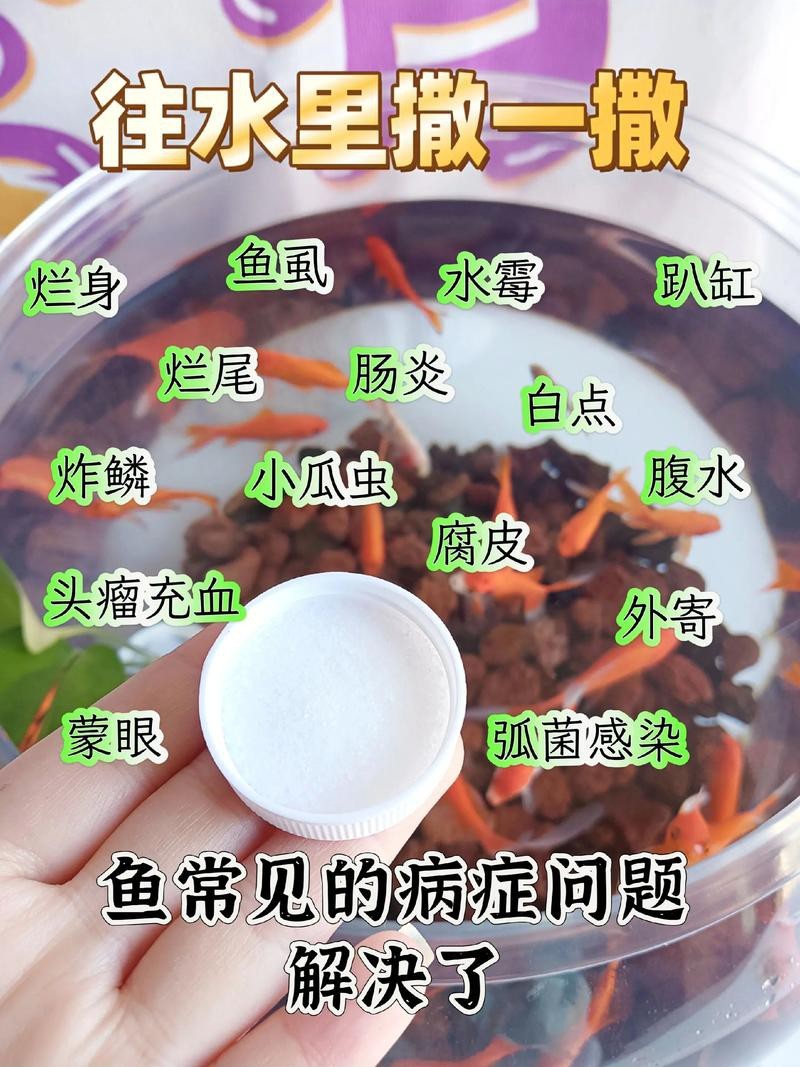 魚得水霉病圖片|喵小蚊說三農,觀賞魚水霉病的前期征兆會是什么樣