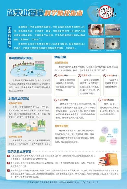 魚得水霉病圖片|喵小蚊說三農,觀賞魚水霉病的前期征兆會是什么樣