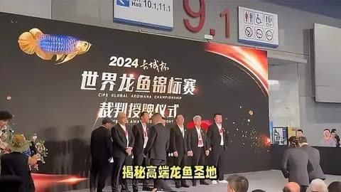 龍魚哪個漁場的最好|全球首家龍魚繁殖漁場(廣州龍魚祥龍魚場