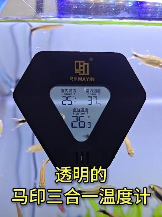 馬印牌|“馬印牌”關聯多個領域的品牌實體，在水族行業實體