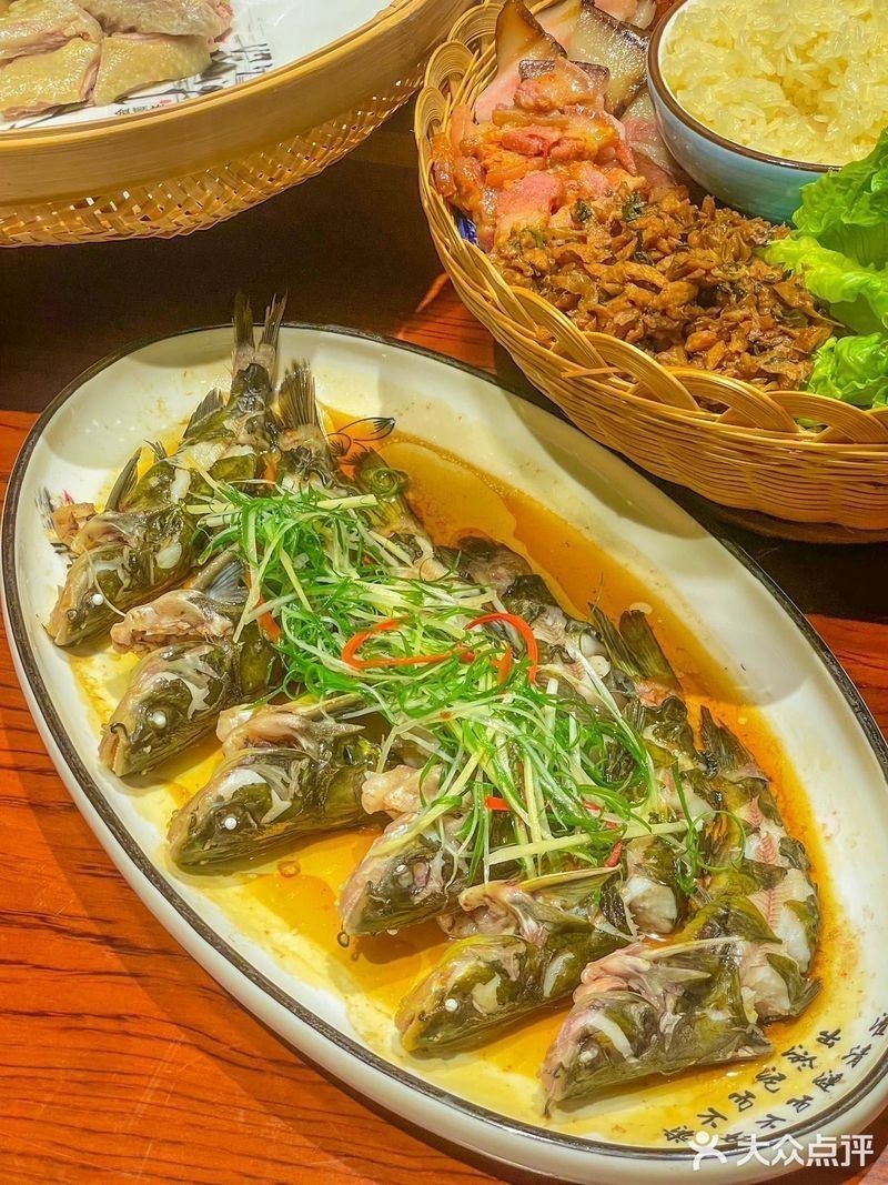 融水龍魚店|廣西融水縣龍魚店
