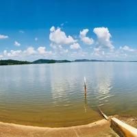 龍魚立鱗是吉兆嗎|龍魚立鱗會自愈嗎