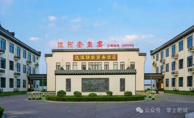 泰安龍魚店|泰安有沒有專業的龍魚店鋪推薦