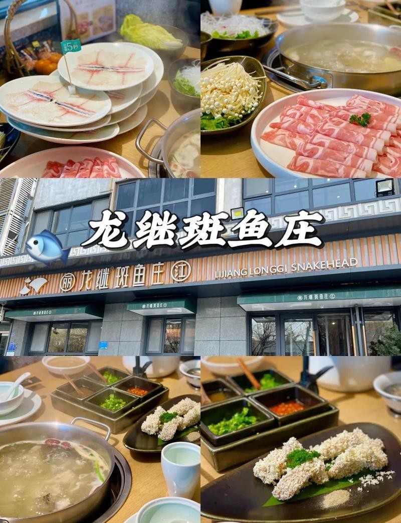 泰安龍魚店|泰安有沒有專業的龍魚店鋪推薦