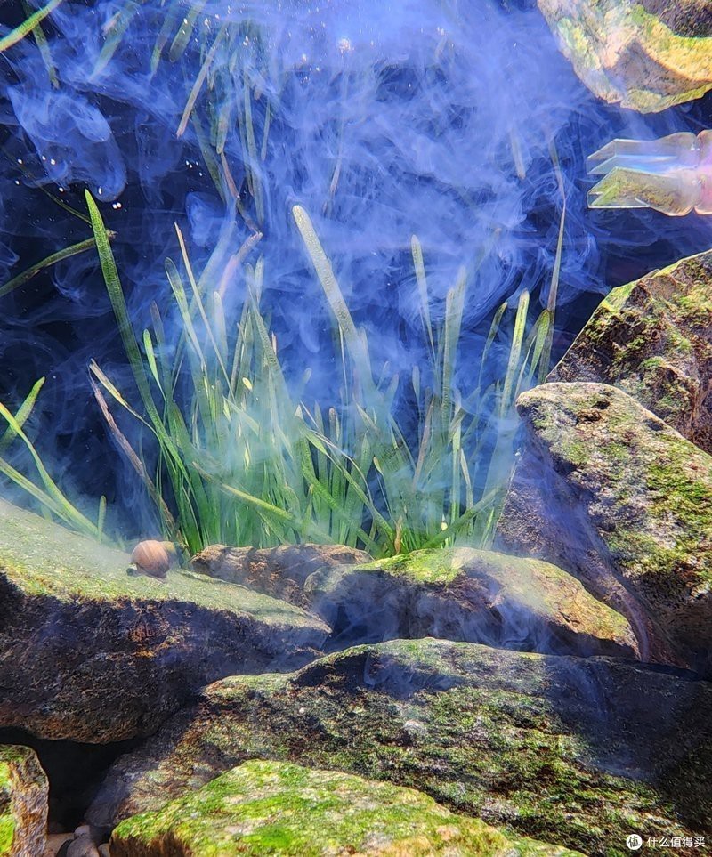 家庭魚缸種類大全|8款高性價比魚缸推薦，適合多場景使用
