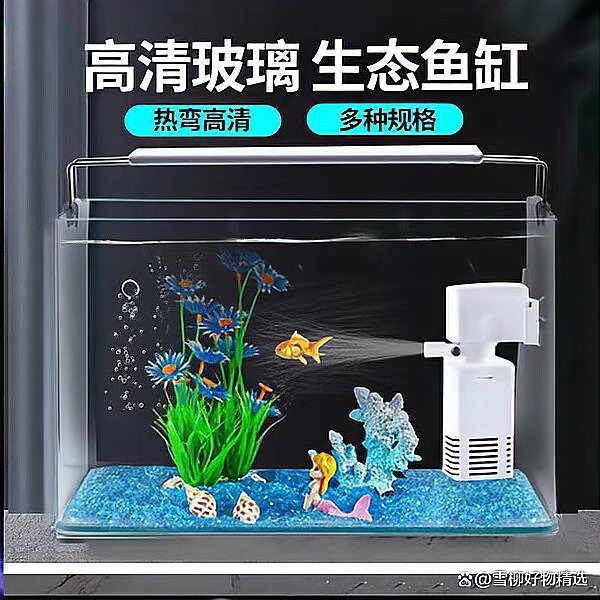 家庭魚缸種類大全|8款高性價比魚缸推薦，適合多場景使用