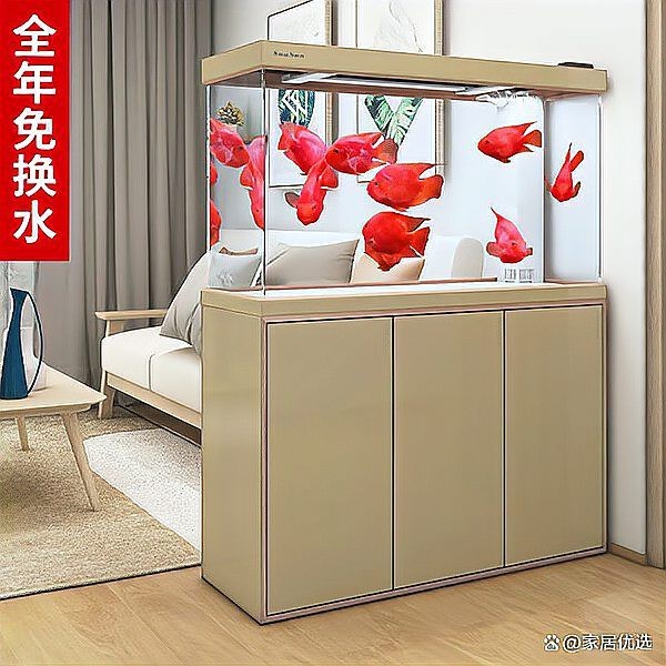 家庭魚缸種類大全|8款高性價比魚缸推薦，適合多場景使用