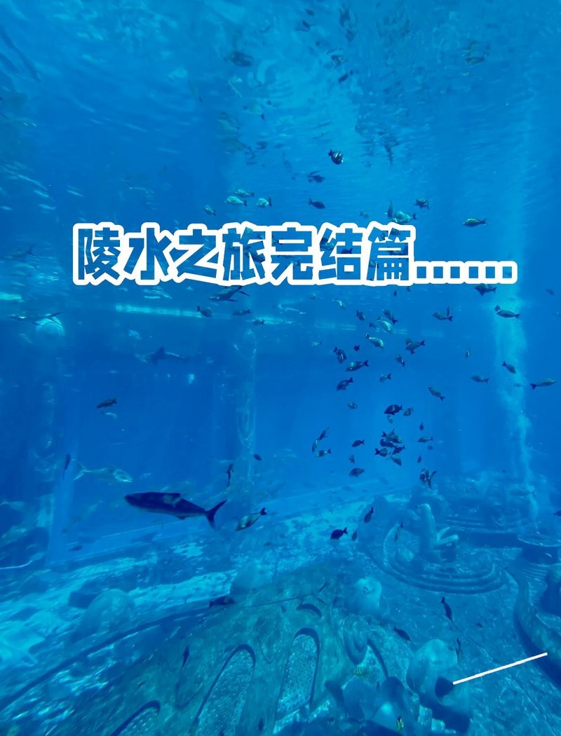 陵水水族店|海南陵水富力南海秘境水族館有特色漁排體驗(yàn)在哪里