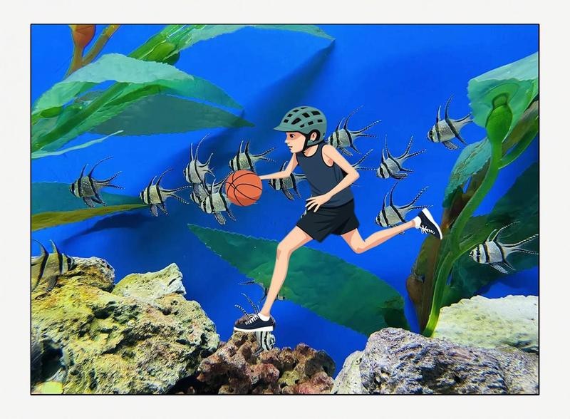 龍門(mén)水族店|全國(guó)多家\