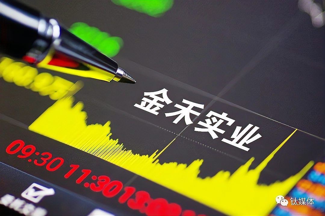 金禾集團董事長|金無糖董事長楊樂