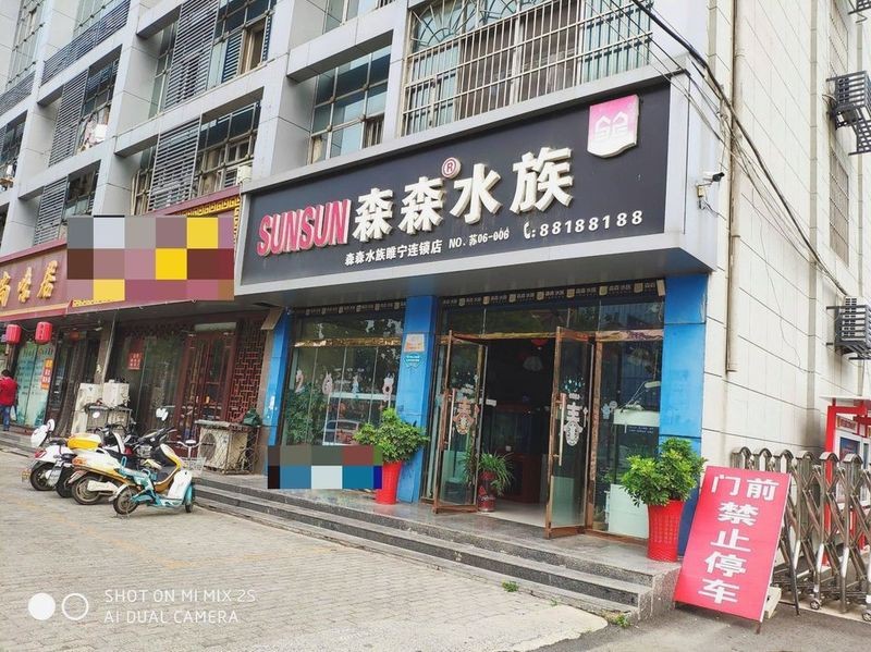 睢寧水族店|江蘇徐州睢寧縣森森水族（睢寧店）口碑最好的水族店