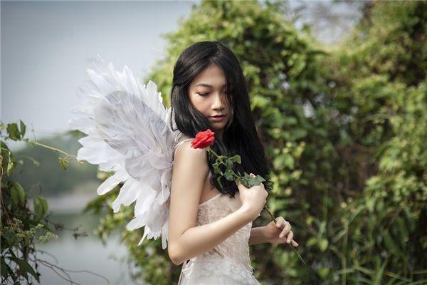 金龍命一般人壓不住嗎|《金龍命一般人壓不住嗎》