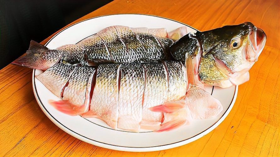 四種人不宜吃雪龍魚|養(yǎng)殖雪龍魚不宜吃雪安全 四種人不宜吃雪龍魚|養(yǎng)殖雪龍魚不宜吃雪安全 龍魚論壇 第9張