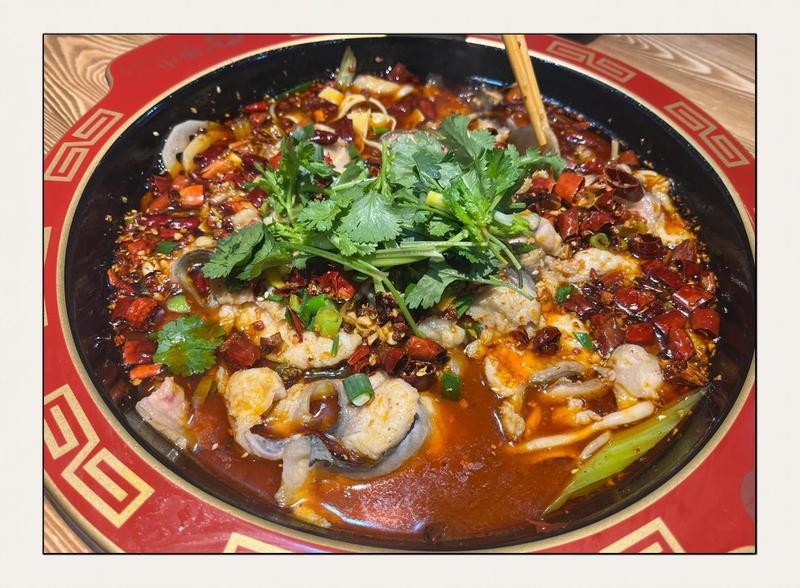 鹽池龍魚店|關于“鹽池龍魚店”的公開資料 鹽池龍魚店|關于“鹽池龍魚店”的公開資料 全國水族館企業名錄 第2張
