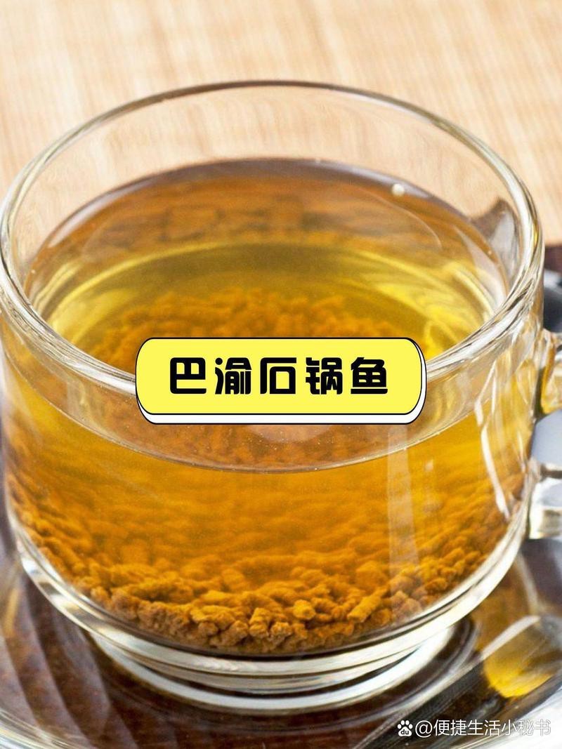 鹽池龍魚店|關于“鹽池龍魚店”的公開資料 鹽池龍魚店|關于“鹽池龍魚店”的公開資料 全國水族館企業名錄 第1張