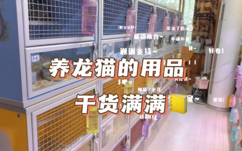 龍貓需要多大的籠子？|養(yǎng)龍貓需要注意哪些細(xì)節(jié)