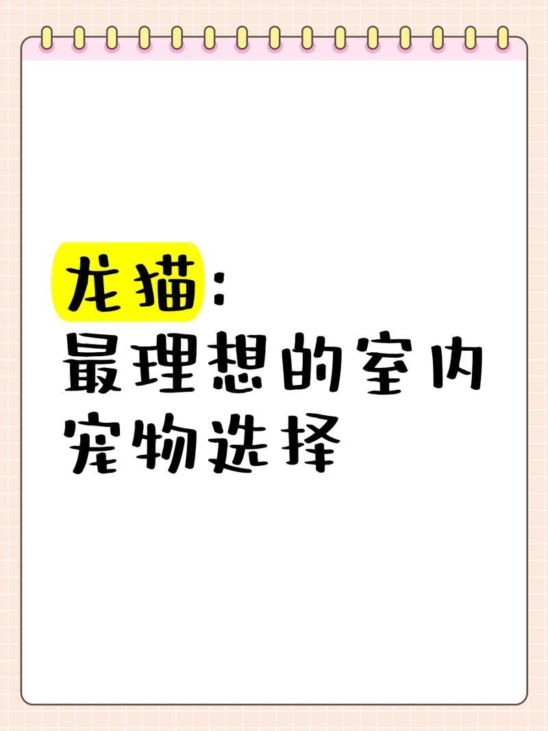 龍貓需要多大的籠子？|養(yǎng)龍貓需要注意哪些細(xì)節(jié)
