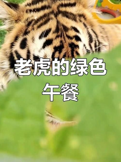綠色的老虎圖片|綠色的老虎