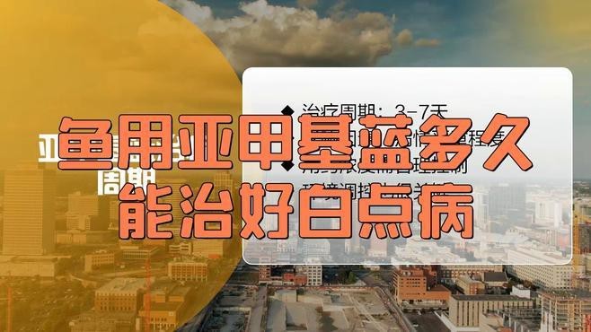 龍魚眼白點病需要治療多久|《龍魚眼白點病治療時長探究》