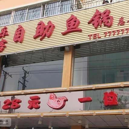 葫蘆島龍魚店|揭秘葫蘆島龍港錦葫路店