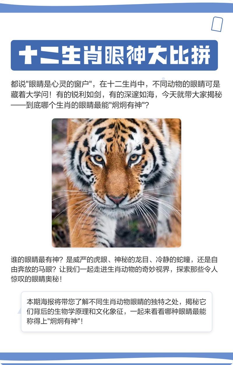 龍的眼睛長什么樣|《畫龍輯議》\