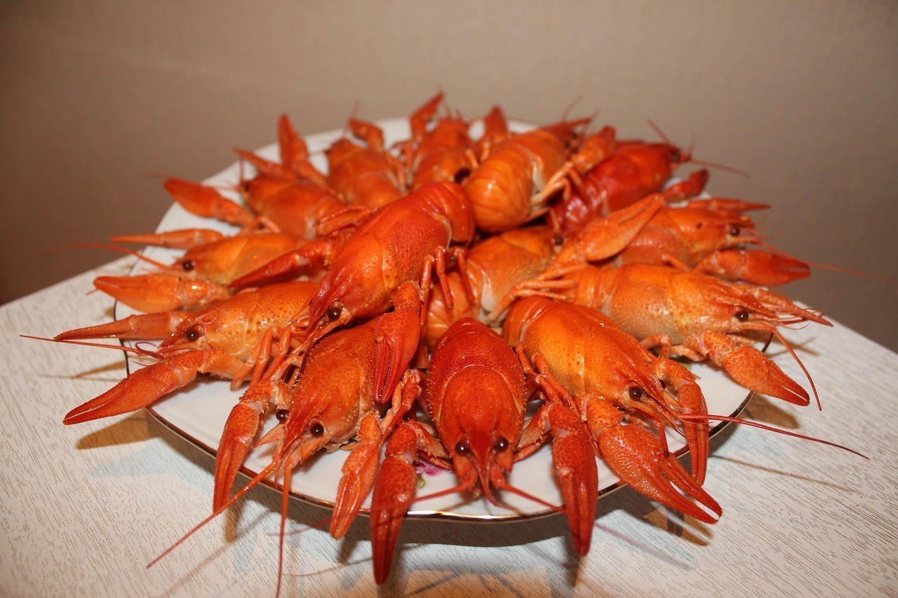養(yǎng)龍魚(yú)不吉利最簡(jiǎn)單三個(gè)原因|《養(yǎng)龍魚(yú)不吉利最簡(jiǎn)單三個(gè)原因》建立規(guī)律作息習(xí)慣的根本原因