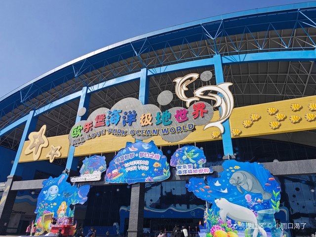 齊河水族店|齊河縣哪家水族店口碑最好