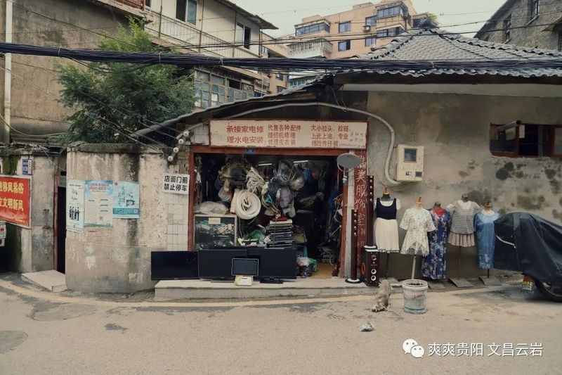 老城龍魚店|廣州老城龍魚店老城龍魚店營業時間推薦老城龍魚店