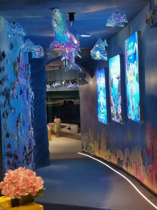 襄陽襄城水族店|襄陽海昌海洋探索館