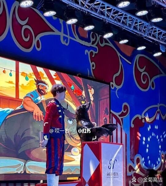 襄陽襄城水族店|襄陽海昌海洋探索館
