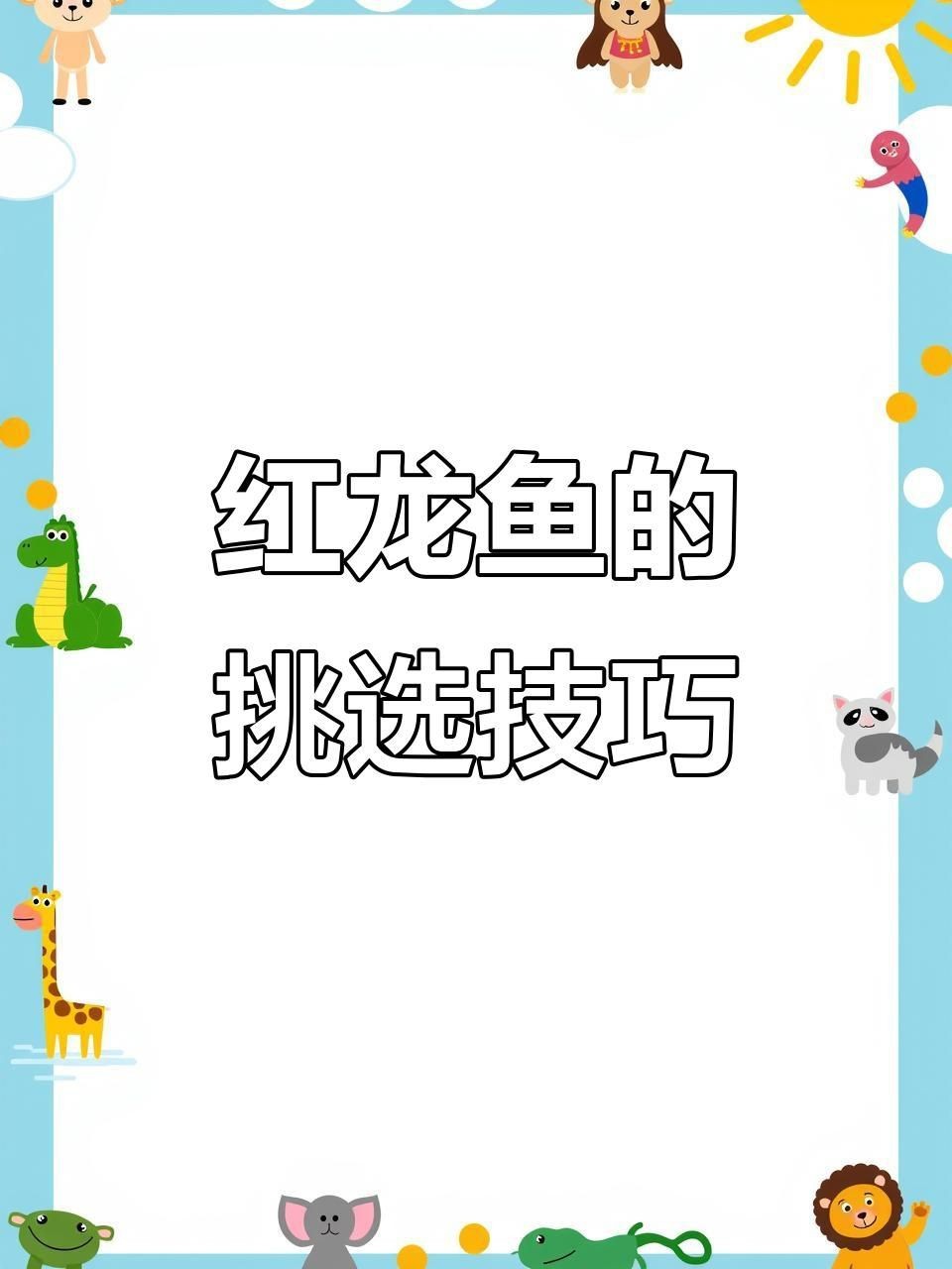 如何鑒別優質紅龍魚|如何挑選優質紅龍魚掌握這些關鍵點避免選錯