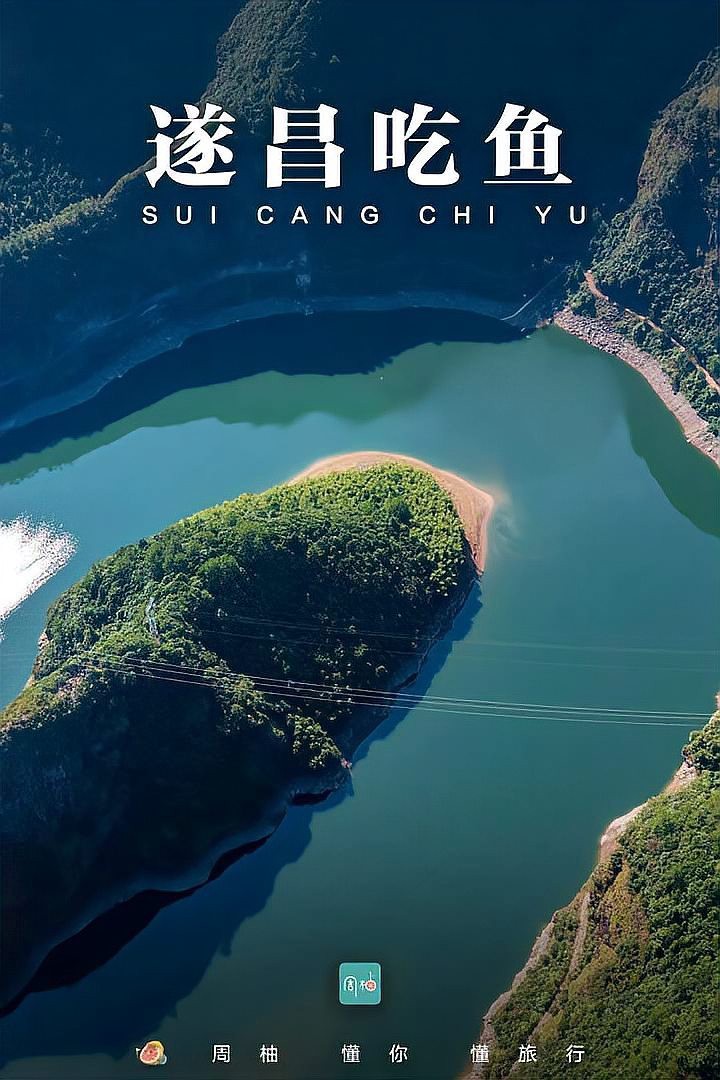 遂昌龍魚店|焦灘魚頭一條街的具體地址在哪里遂昌吃魚啦~錢江晚報