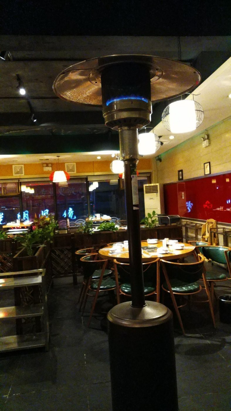 澗西龍魚店|洛陽市澗西區有哪些與龍魚相關的店鋪？